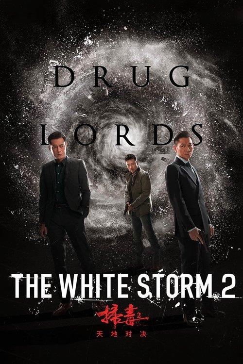 The White Storm 2: Drug Lords 2019 official movie poster