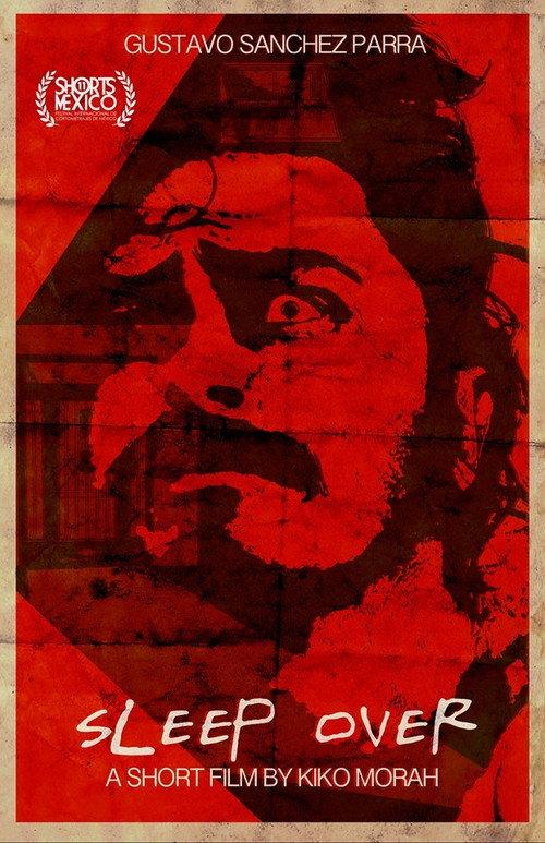 Sleep Over 2015 official movie poster
