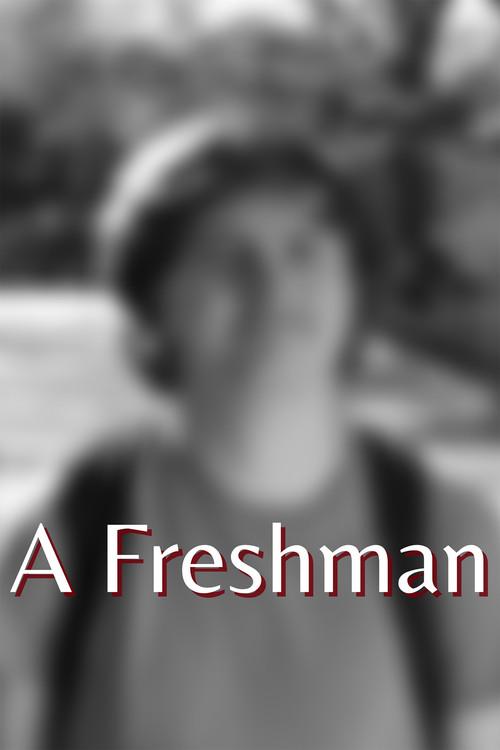A Freshman  official movie poster