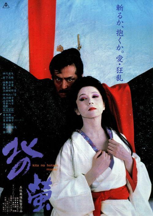 Fireflies in the North 1984 official movie poster