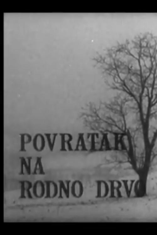 Back to His Native Woods 1968 official movie poster