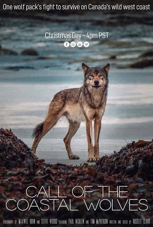 Call Of The Coastal Wolves 2020 official movie poster