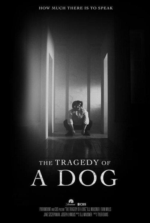 The Tragedy of a Dog 2023 official movie poster