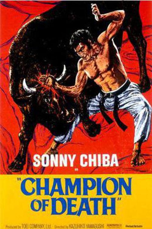 Karate Bullfighter 1975 official movie poster