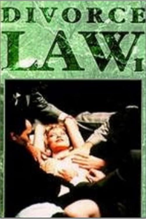 Divorce Law 1993 official movie poster