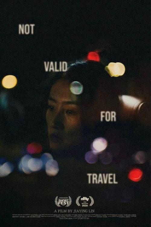 Not Valid for Travel official movie poster