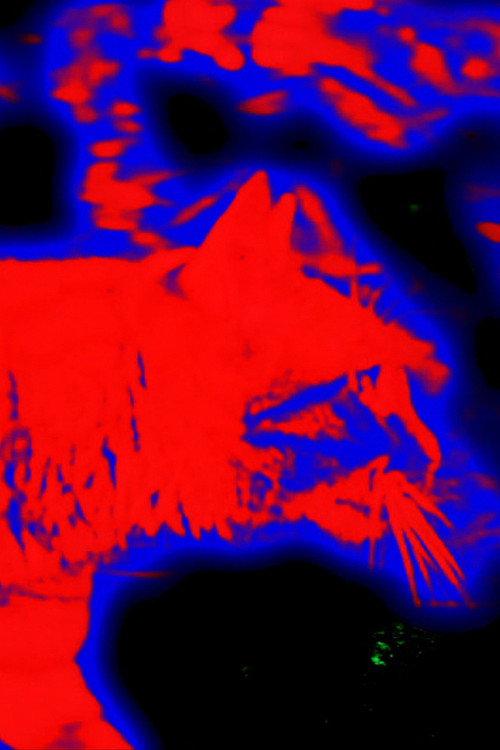 9 Lives Measured in Mercury 2013 official movie poster