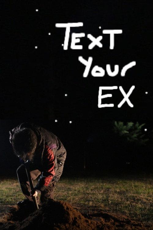 text your ex 2025 official movie poster