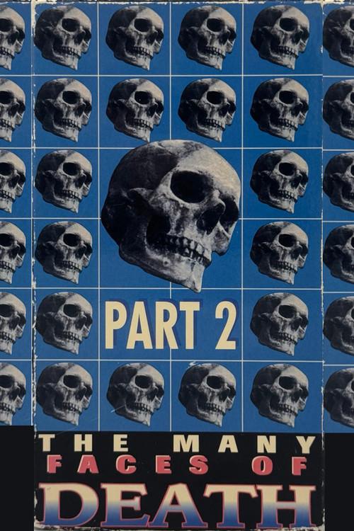 The Many Faces of Death, Part 2 1995 official movie poster