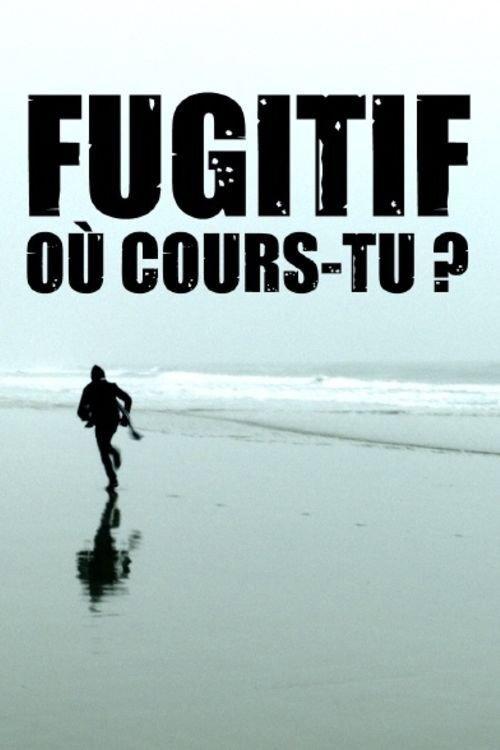 Fugitive, Where Are You Running to? 2018 official movie poster