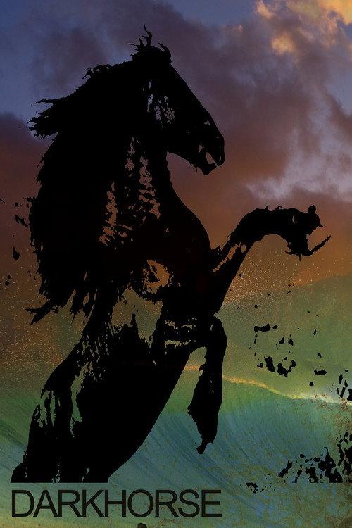Darkhorse The Bro Tape 2013 official movie poster