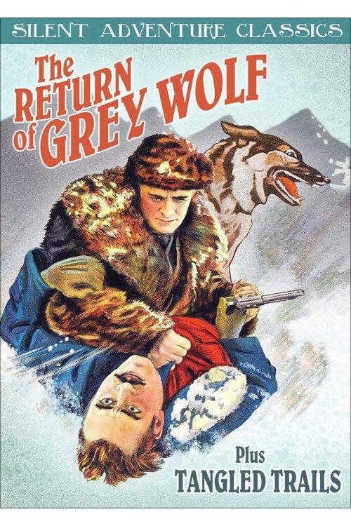 The Return of Grey Wolf 1926 official movie poster