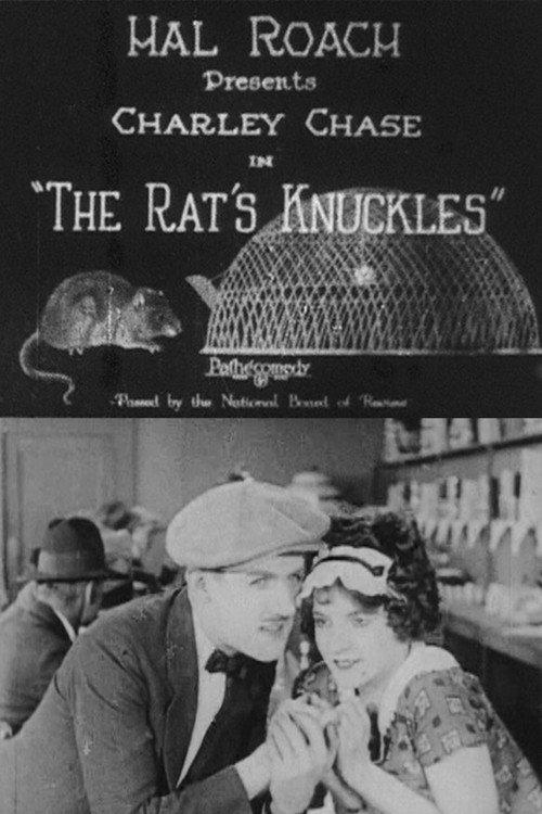 The Rat's Knuckles 1925 official movie poster