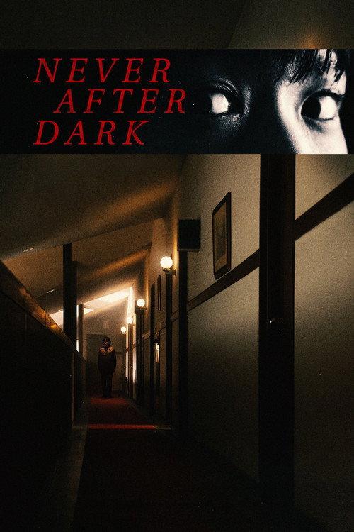 Never After Dark 2026 official movie poster