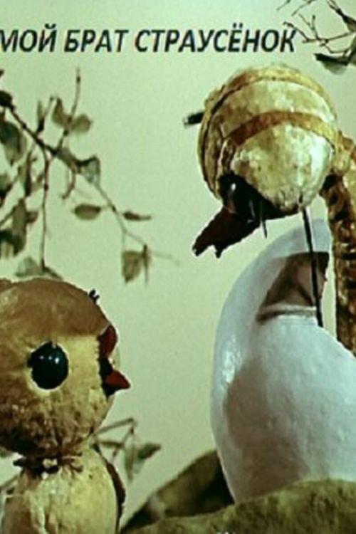 My Brother the Little Ostrich 1971 official movie poster