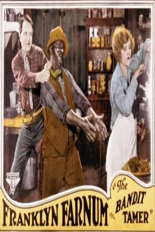 The Bandit Tamer 1925 official movie poster