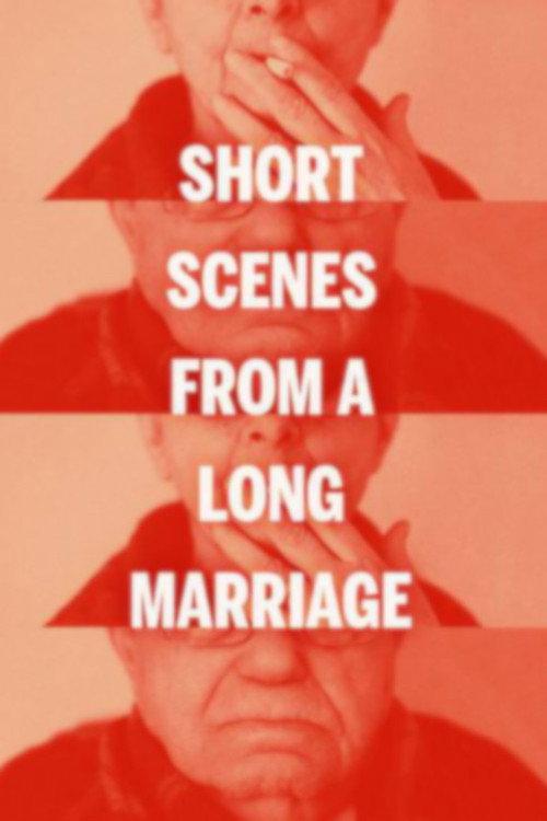 Short Scenes from a Long Marriage 2011 official movie poster