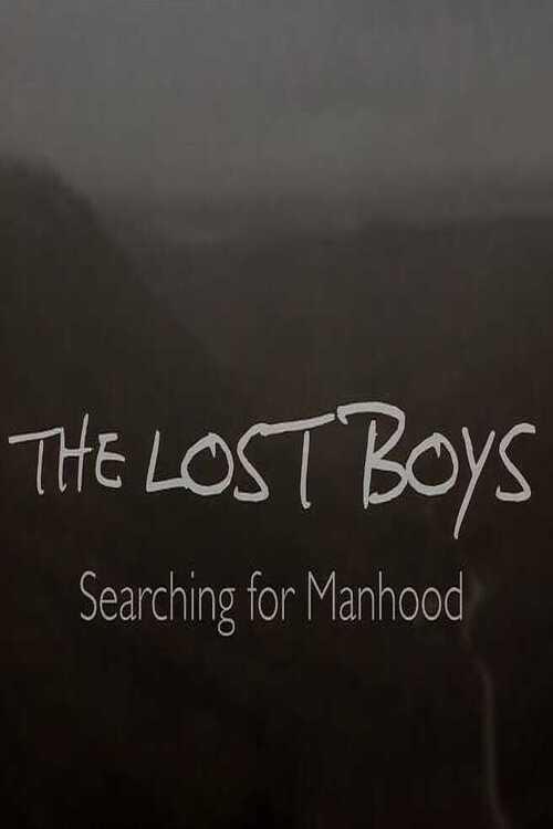 The Lost Boys: Searching for Manhood 2024 official movie poster