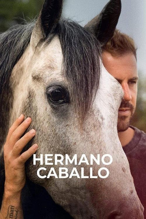 Hermano caballo 2023 official movie poster