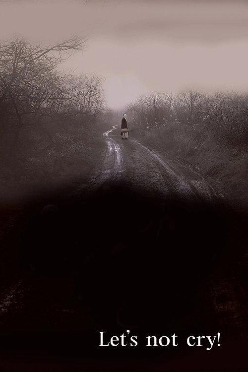 Let's Not Cry! 2007 official movie poster