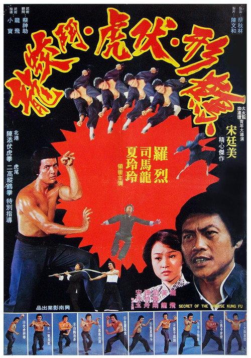 Secret of Chinese Kung Fu 1977 official movie poster