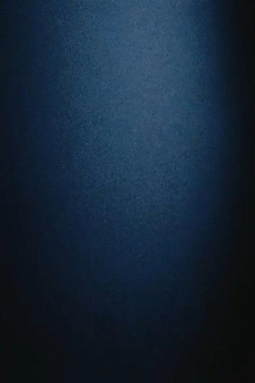 Coda I 2013 official movie poster