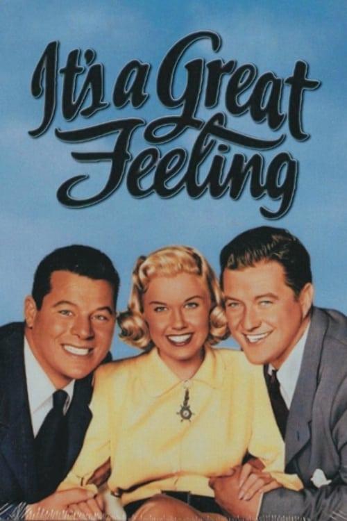 It's a Great Feeling 1949 official movie poster