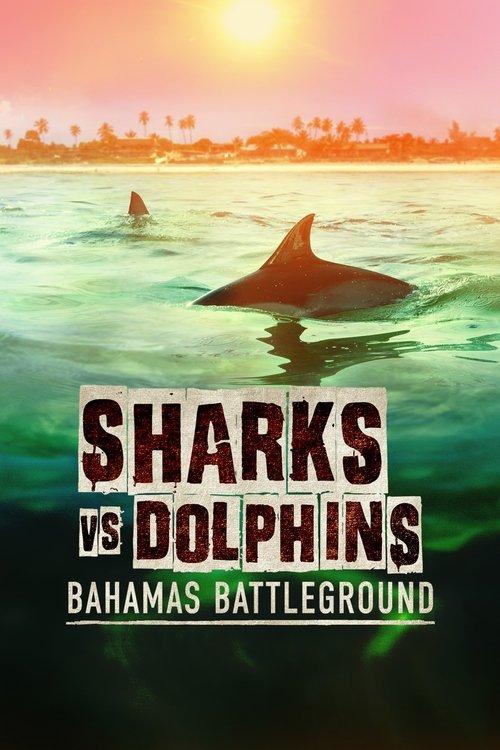 Sharks vs. Dolphins: Bahamas Battleground 2023 official movie poster