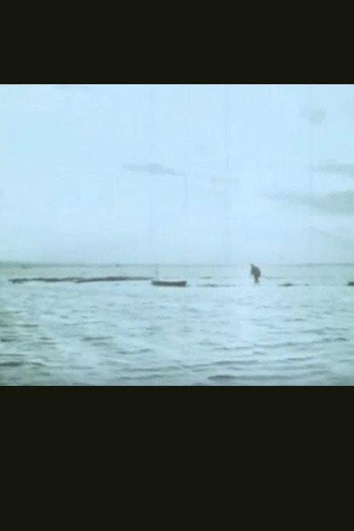 Il campo 1968 official movie poster