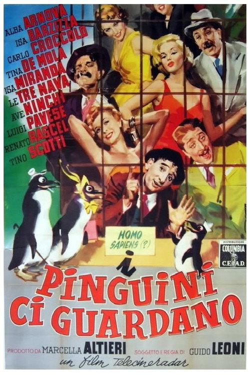 I pinguini ci guardano 1956 official movie poster