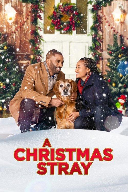 A Christmas Stray 2021 official movie poster