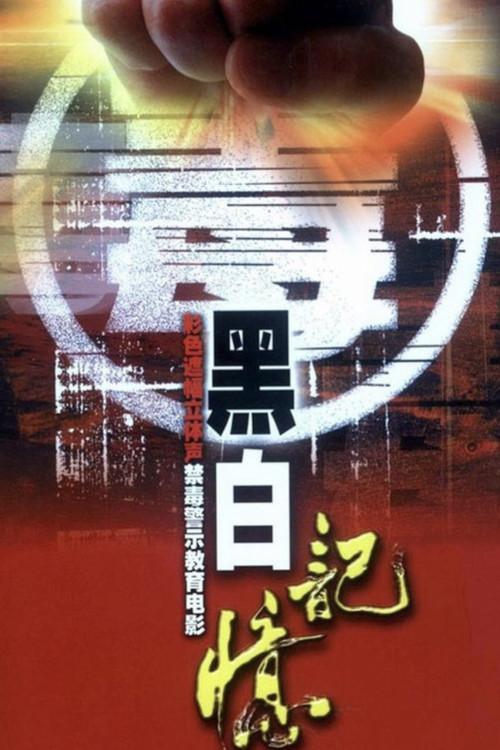 Black-and-White Memories 2009 official movie poster