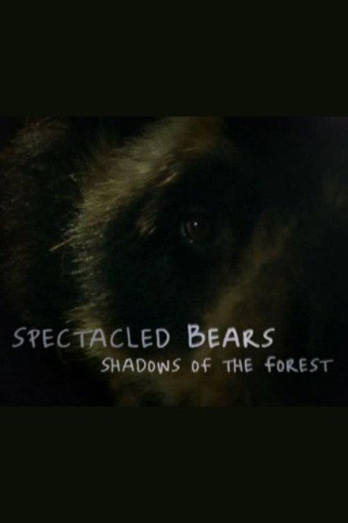 Spectacled Bears: Shadows of the Forest 2008 official movie poster