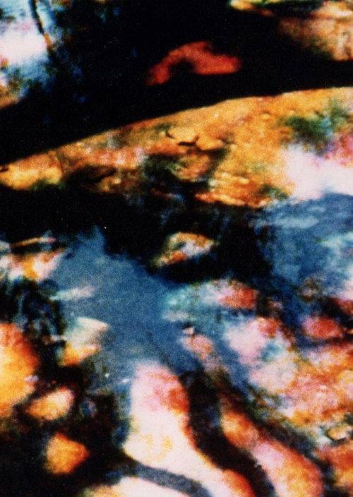 Warrah 1980 official movie poster