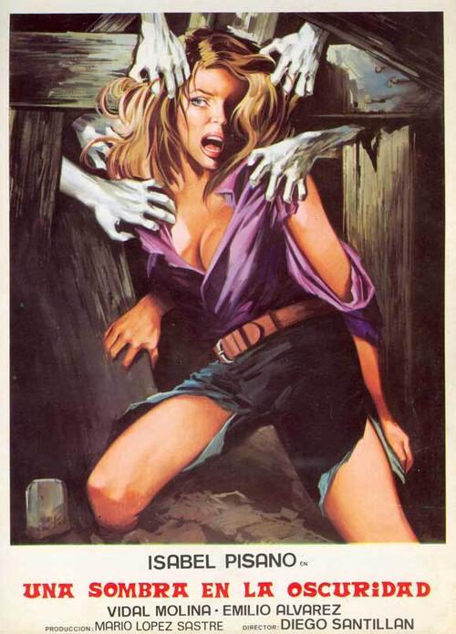 Una sombra en la oscuridad 1979 official movie poster