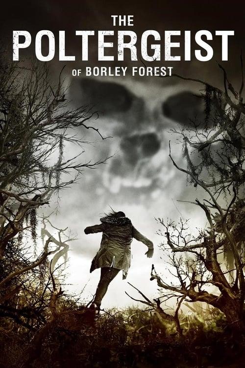 The Poltergeist of Borley Forest 2016 official movie poster