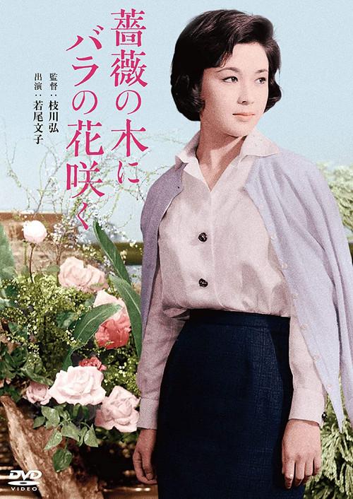 Roses Bloom on a Rose Tree 1959 official movie poster