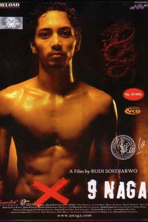 The Nine Dragon 2006 official movie poster