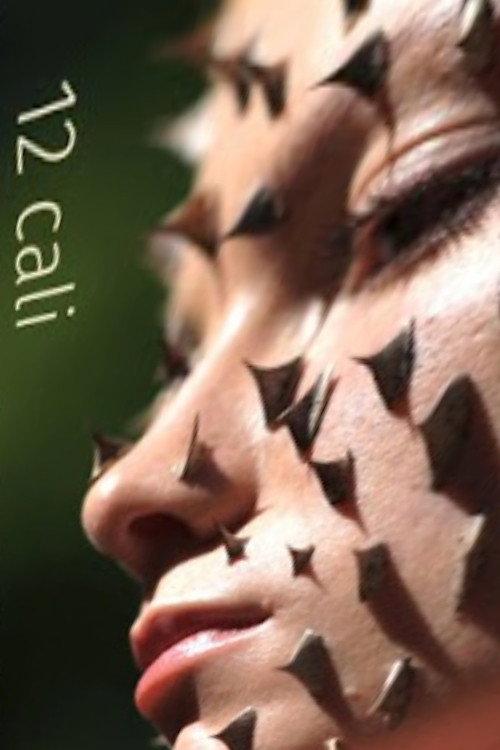 12 cali 2018 official movie poster