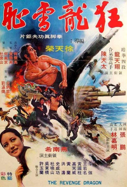 Dragon Force Operation 1973 official movie poster