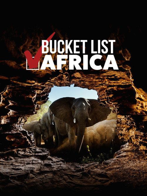 Bucket List: Africa 2021 official movie poster