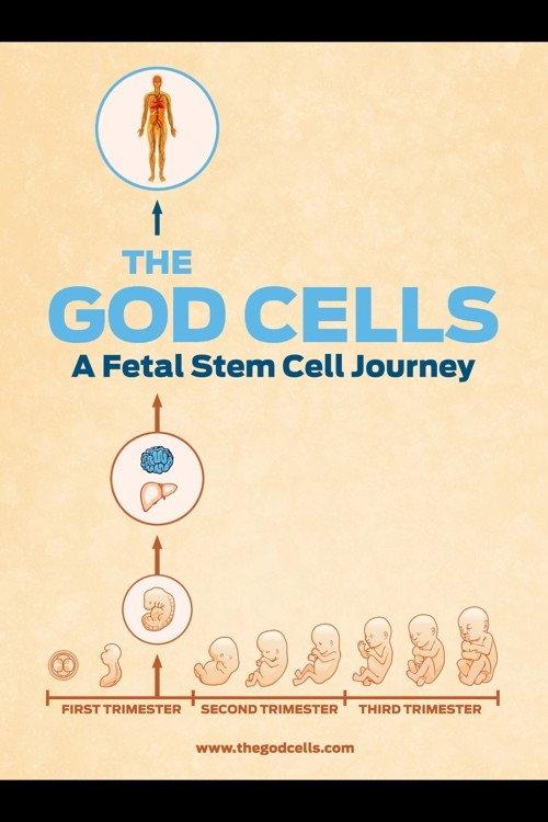 The God Cells 2016 official movie poster