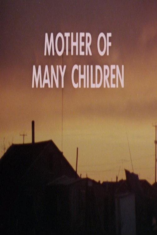 Mother of Many Children 1977 official movie poster