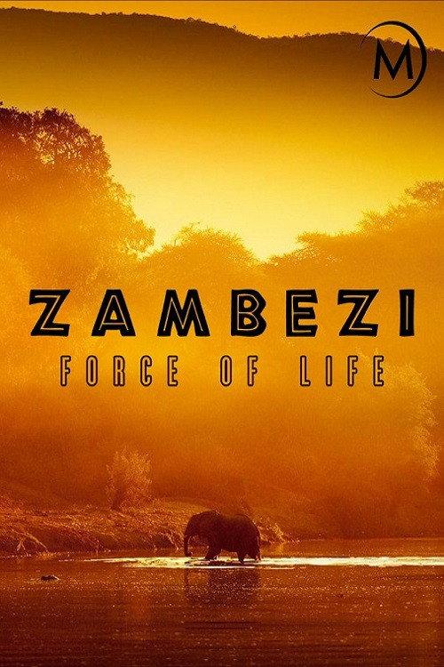 Zambezi: Force of Life  official movie poster