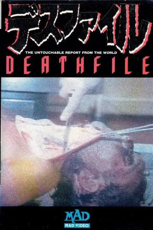 Death File 1 1989 official movie poster