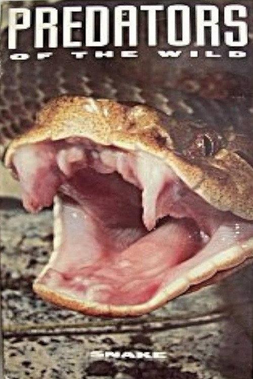 Predators of the Wild: Snake 1993 official movie poster