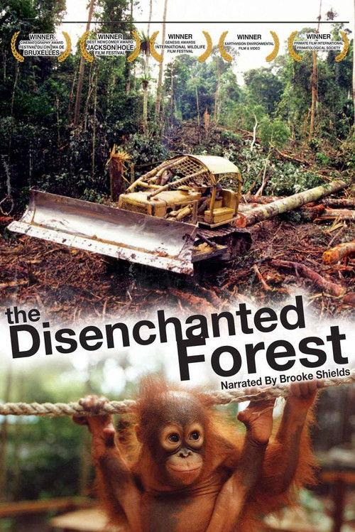 Disenchanted Forest 2002 official movie poster