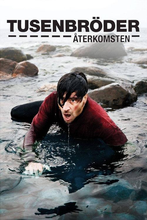 Brothers: The Return 2006 official movie poster