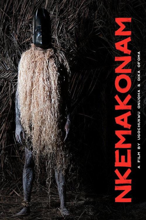 Nkemakonam 2023 official movie poster