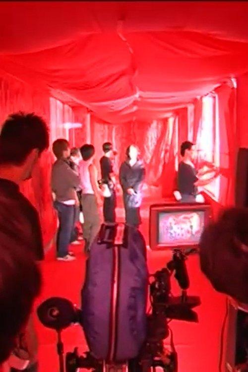 Strange Days: The Making of Strange Circus 2005 official movie poster
